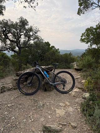 Bicicletta MTB in carbonio