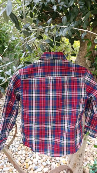 Camisa Lion of Porches