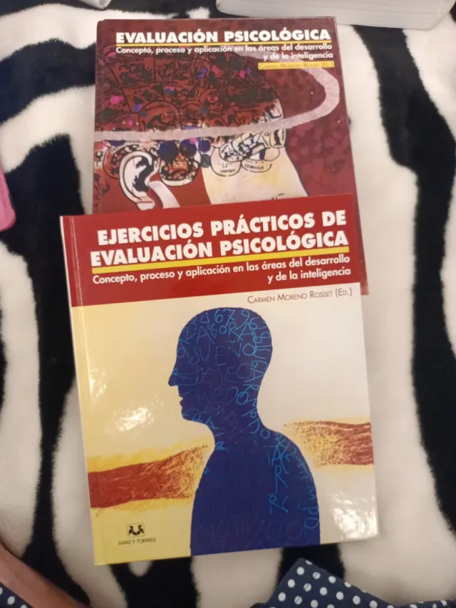 Evaluación psicológica. Teoría y ejercicios