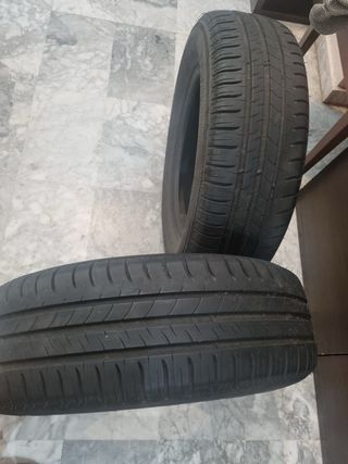 Ruedas Michelin 195/65 R15