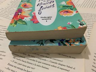 Todo lo que nunca fuimos, Todo lo que somos juntos