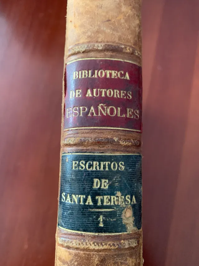 Escritos de Santa Teresa Volumen I