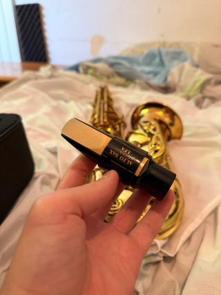 Saxofono Alto Professionale