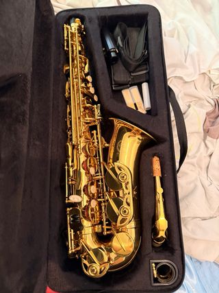 Saxofono Alto Professionale