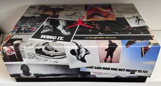 Nike Air Jordan 3 Retro SE Animal Instinct