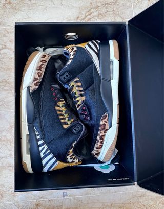 Nike Air Jordan 3 Retro SE Animal Instinct