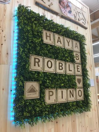 Diseñadora Gráfica ¡Da vida a tus ideas!