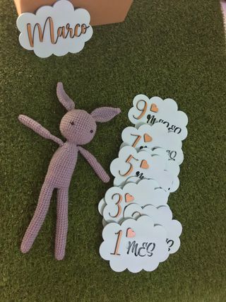 Diseñadora Gráfica ¡Da vida a tus ideas!