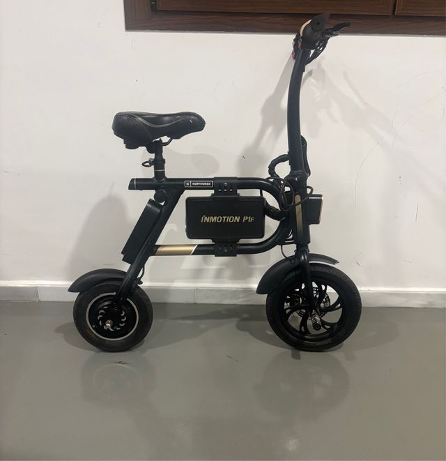 bicicleta electrica (electric bike)