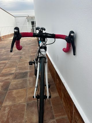 Bici Carretera Focus Cayo P2T Carbon