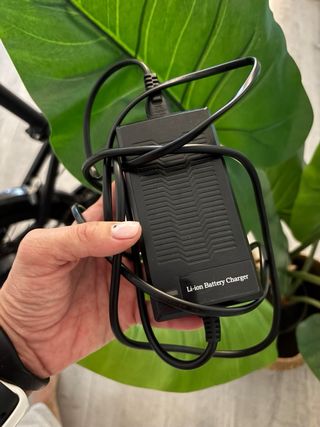Bicicleta eléctrica plegable Fiido D4S