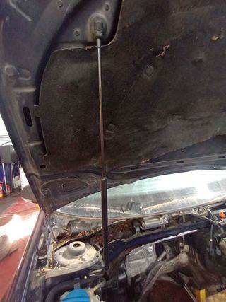 AMORTIGUADORES CAPO VOLKSWAGEN GOLF V (1K1)(10.2003)