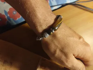Pulsera Ojo de Tigre y Acero