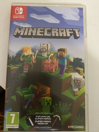 Minecraft Nintendo Switch