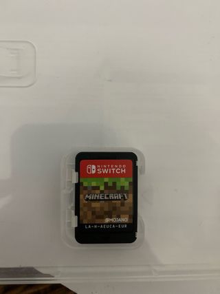 Minecraft Nintendo Switch