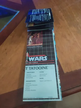 Star Wars Casa Tatooine (Tía Beru)