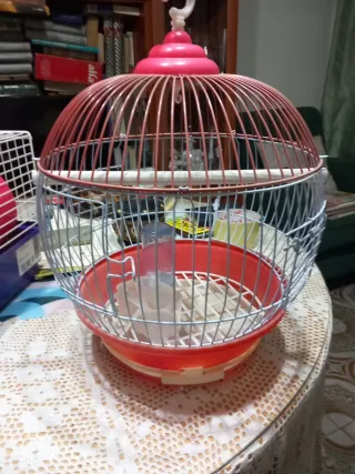 Jaula para pájaros redonda rosa