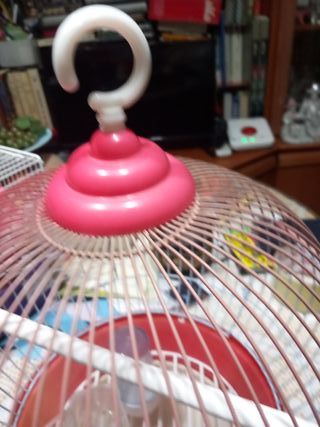 Jaula para pájaros redonda rosa