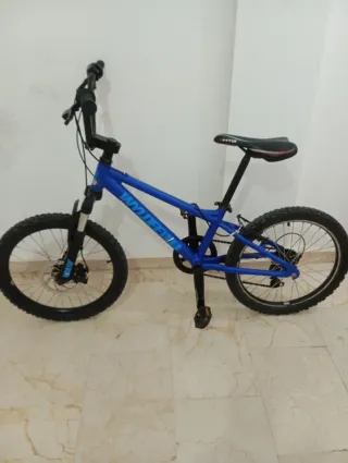 Bicicletta MTB blu
