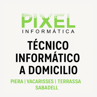 Técnico Informático Profesional