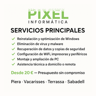 Técnico Informático Profesional