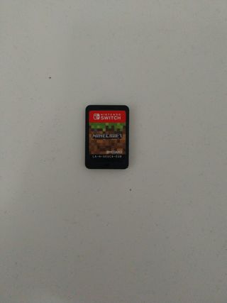 Minecraft Nintendo Switch