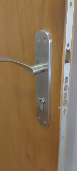 Puerta blindada entrada de casa

