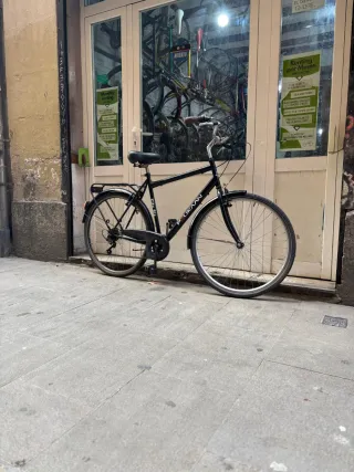 Bicicleta Ciudad Pelikan Talla L