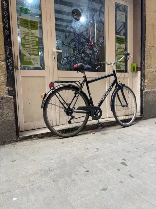 Bicicleta Ciudad Pelikan Talla L