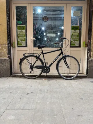 Bicicleta Ciudad Pelikan Talla L
