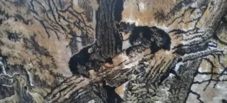 Tapiz de tela aterciopelada con osos en el bosque