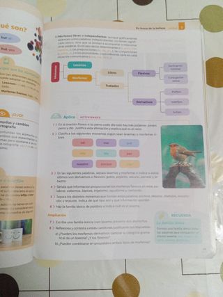 Lengua Castellana y Literatura 4º ESO