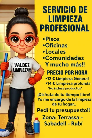 LIMPIEZA PROFESIONAL-100% GARANTIZADO!