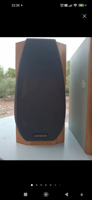 Altavoces Marrones y Negros