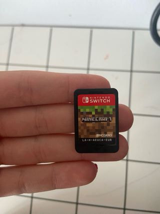 Nintendo Switch + Minecraft
