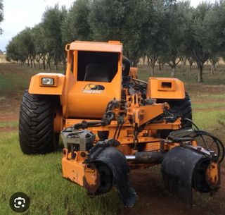 servicio de recolección de aceituna