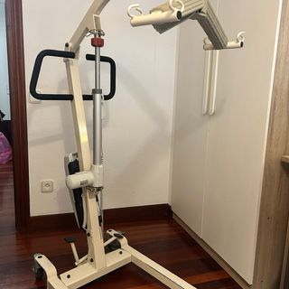 Grúa de transferencias para movilidad reducida