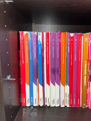 Llengua catalana i literatura 2.