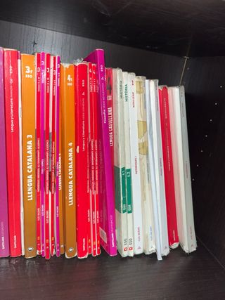 Llengua catalana i literatura 2.