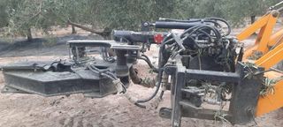 Vibrador olivos para retro mixta