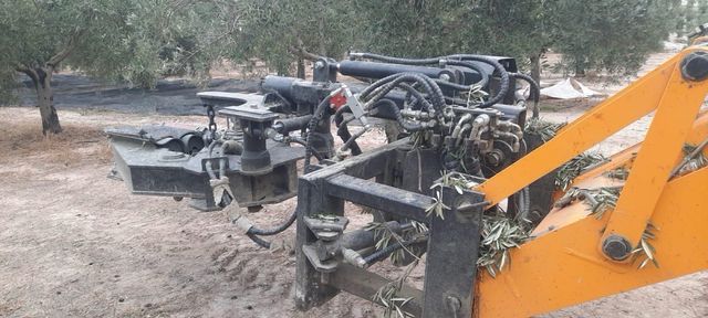 Vibrador olivos para retro mixta