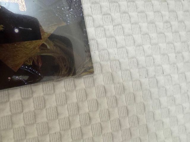 Taylor Swift Vinilo - The Life of a Showgirl