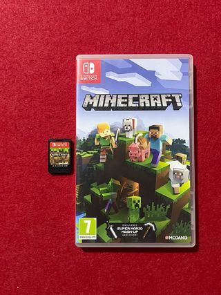 Minecraft Nintendo Switch