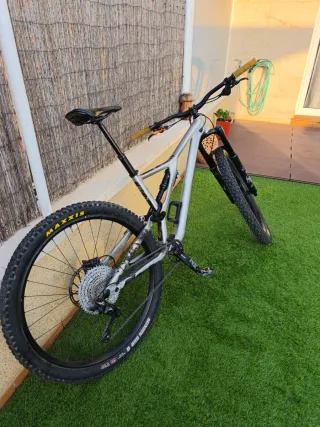 Specialized Stumpjumper Evo S3 L