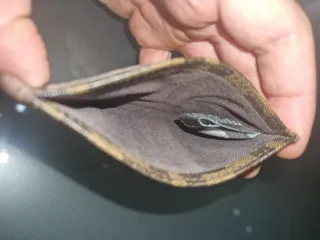 Porta carte Fendi marrone