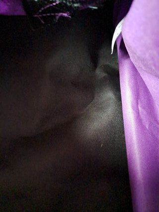 Bolsa para patines morada