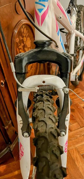 Bicicletta Neon MTB 26