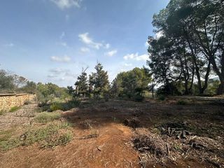 Terreno en venta en Zona Urbanizaciones en Alzira