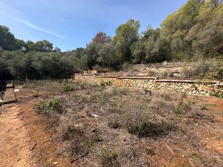 Terreno en venta en Zona Urbanizaciones en Alzira