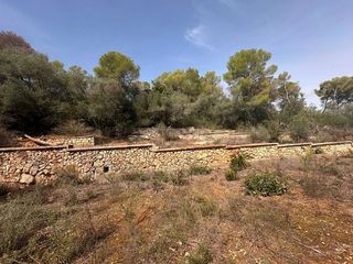 Terreno en venta en Zona Urbanizaciones en Alzira